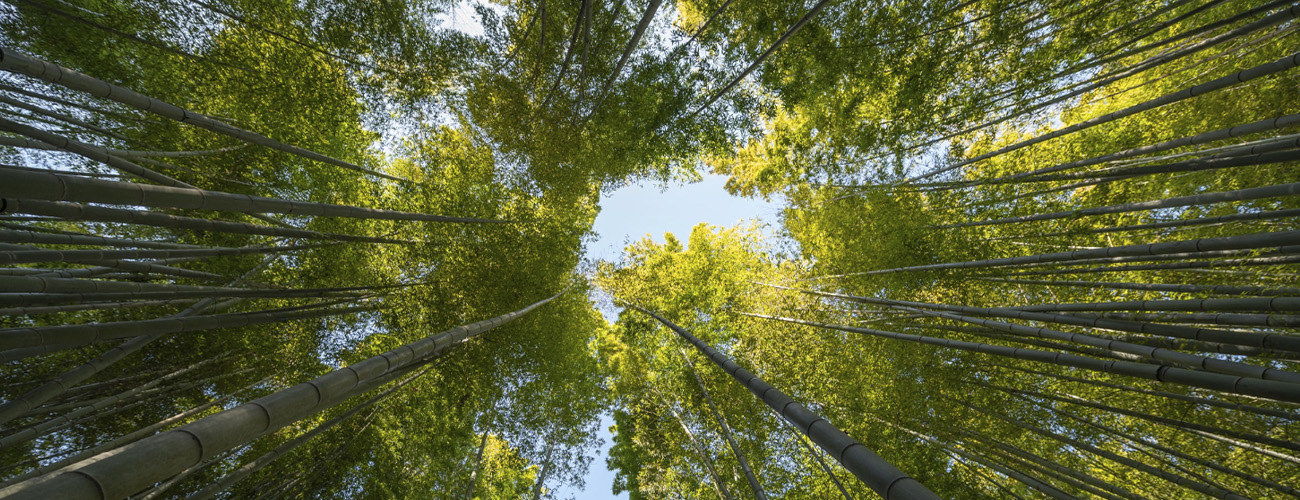 sostenibilitat sfdr portada