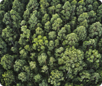 ginvest renda variable global notícia