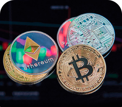 Cistella Criptomonedes IL